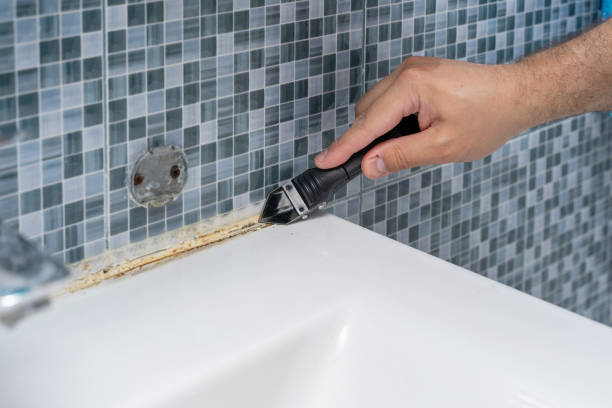 Best Mold Removal Company Near Me  in Heber, UT